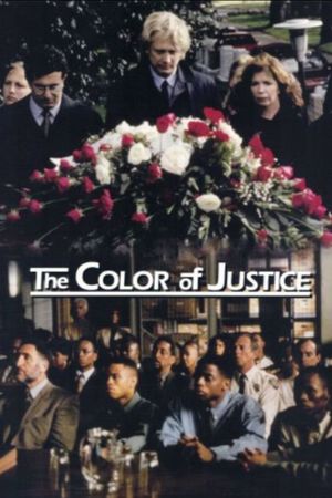 Color of Justice's poster