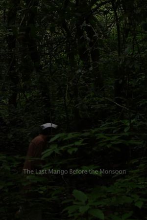 The Last Mango Before the Monsoon's poster