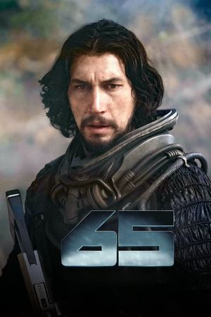 65's poster