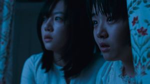 A Tale of Two Sisters's poster
