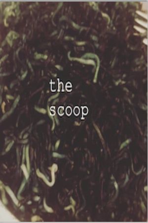 The Scoop's poster image