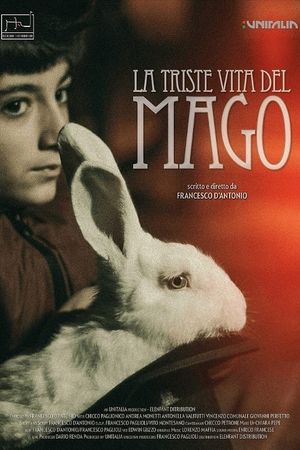 La triste vita del mago's poster