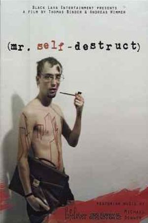 Mr. Self-Destruct's poster