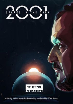 2001: Sparks in the Dark's poster