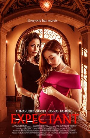 Pregnant and Alone's poster