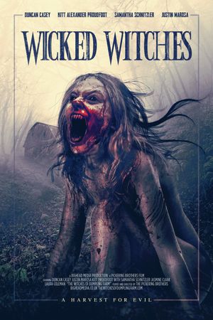 Wicked Witches's poster