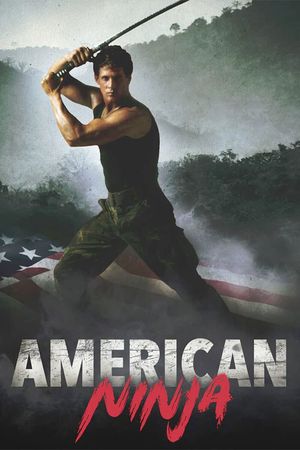 American Ninja's poster