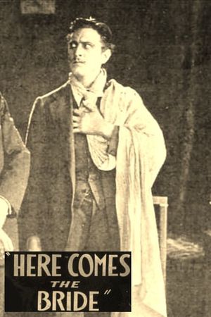 Here Comes the Bride's poster