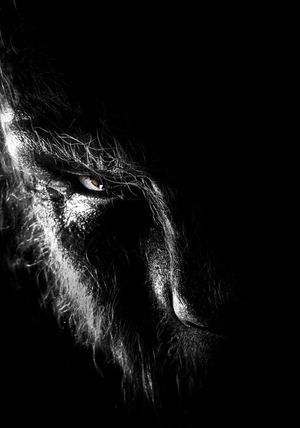 The Wolfman's poster