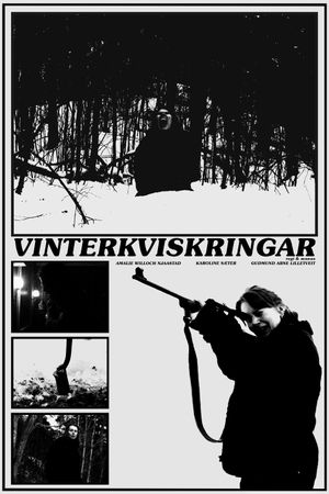 Vinterkviskringar's poster image