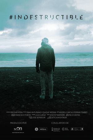 #Indestructible's poster