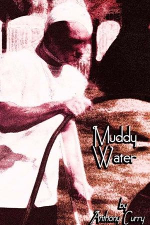 Muddy Water's poster image