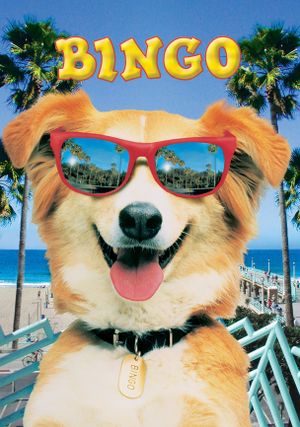Bingo's poster