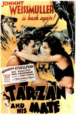 Tarzan and His Mate's poster