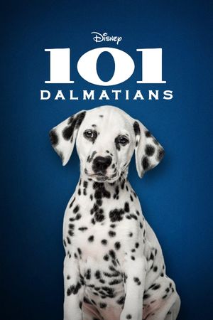 101 Dalmatians's poster