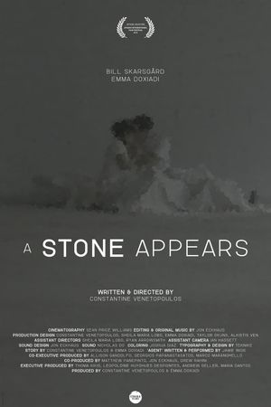 A Stone Appears's poster