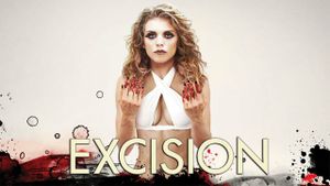 Excision's poster