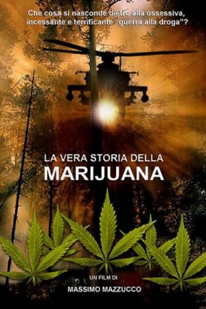 La vera storia della marijuana's poster