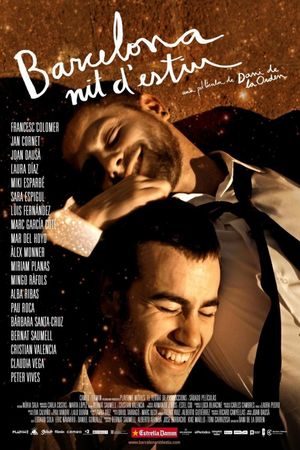 Barcelona Summer Night's poster