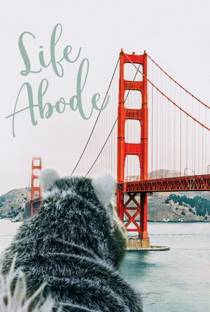 Life Abode's poster