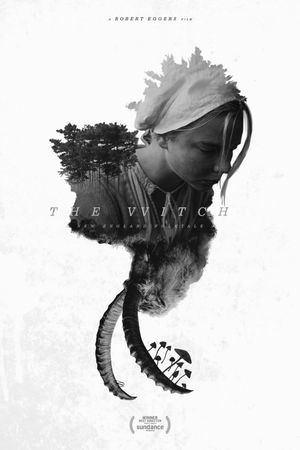 The Witch's poster