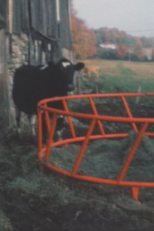 Super 8 Diary - 1991's poster