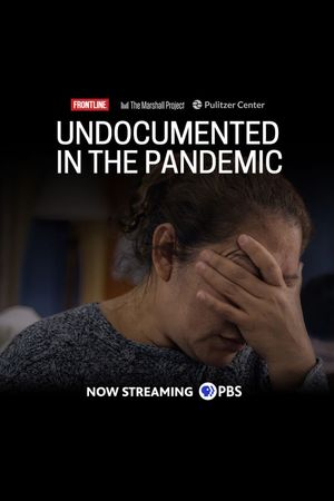 Undocumented in the Pandemic's poster image