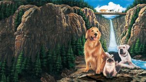 Homeward Bound: The Incredible Journey's poster