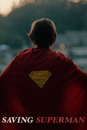 Saving Superman's poster