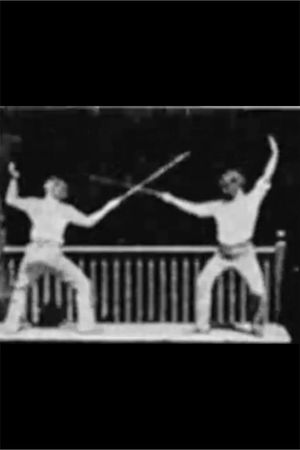 Fencing's poster