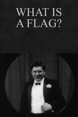 What is a flag?'s poster