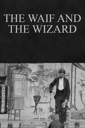 The Waif and the Wizard's poster