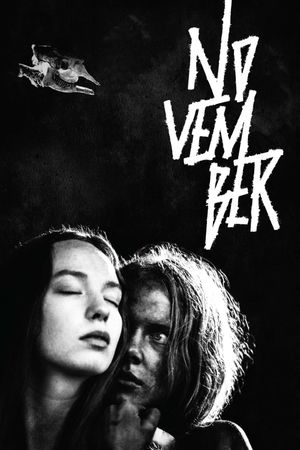 November's poster
