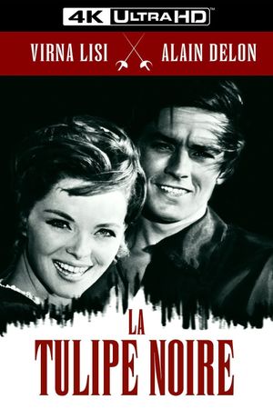 The Black Tulip's poster