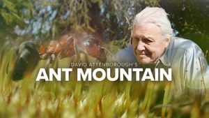 David Attenborough's Ant Mountain's poster