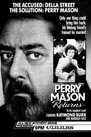 Perry Mason Returns's poster