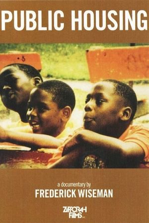 Public Housing's poster
