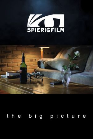 The Big Picture's poster
