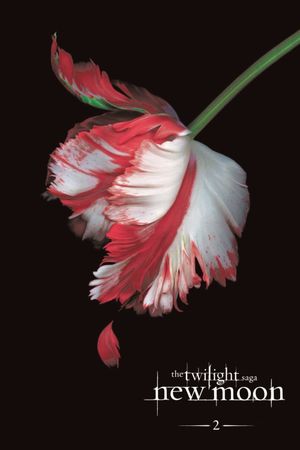The Twilight Saga: New Moon's poster