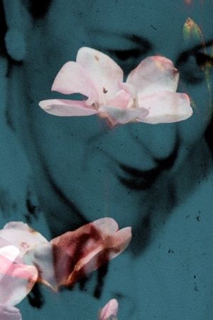 Flowers of the Sky's poster