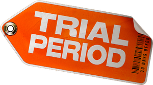 Trial Period's poster