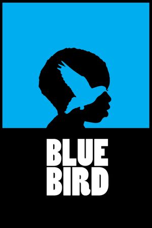 Blue Bird's poster