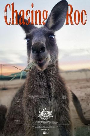 Chasing Roo's poster