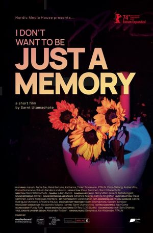 I Don’t Want to Be Just a Memory's poster