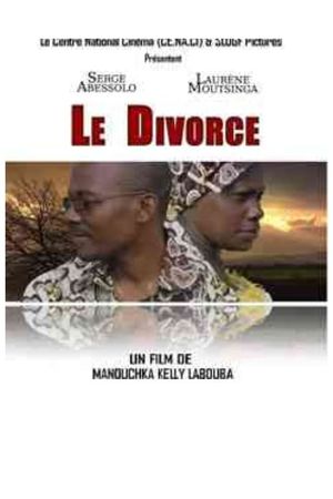 The Divorce's poster image