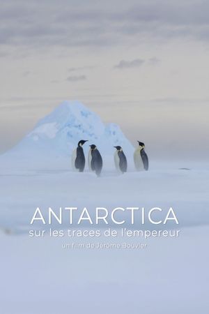 Antarctica, in the footsteps of the Emperor's poster