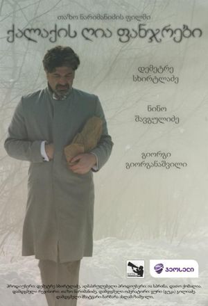 ქალაქის ღია ფანჯრები's poster