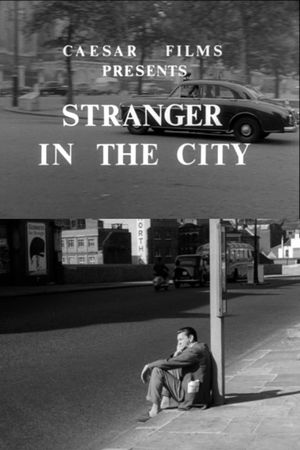 Stranger in the City's poster