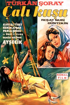 Çalikusu's poster