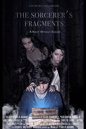 The Sorcerer's Fragments's poster